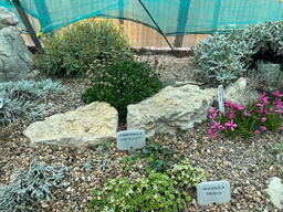 Alpine House Selection