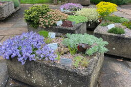 Trough Selection