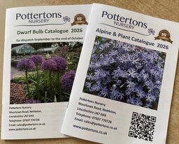 2026 Catalogues to UK