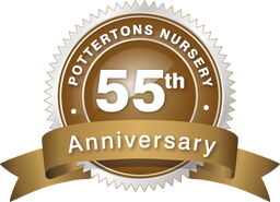 1 Pottertons Nursery 55th Anniversary Bulb Collection